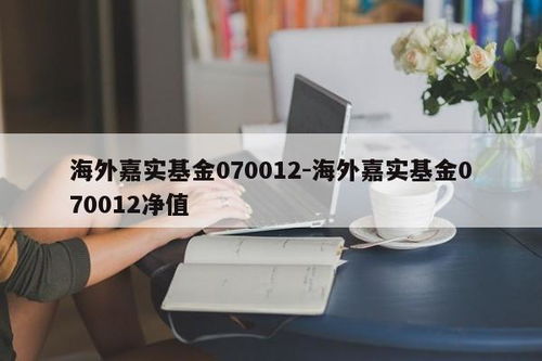 海外嘉实基金070012 净值解析与计算机维修服务的跨界思考